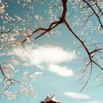 开云(中国)Kaiyun